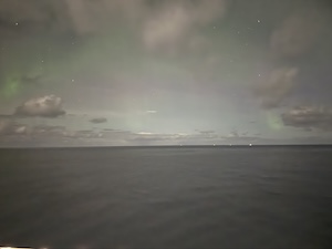 IMG_1230.jpeg