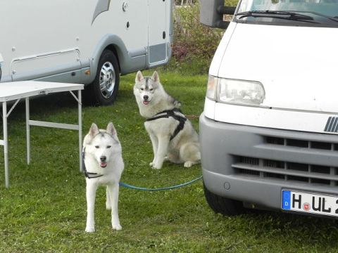 Schraubertreffen 2012 – 25