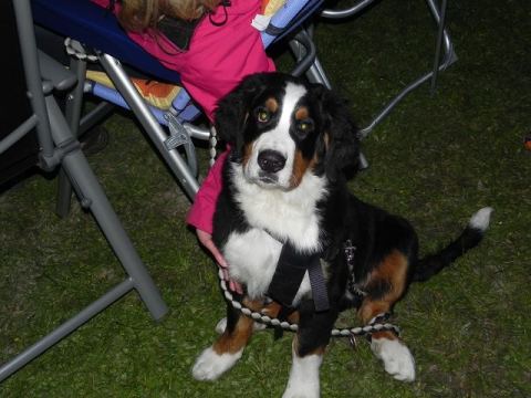 Schraubertreffen 2012 – 41