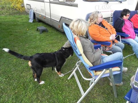 Schraubertreffen 2012 – 12