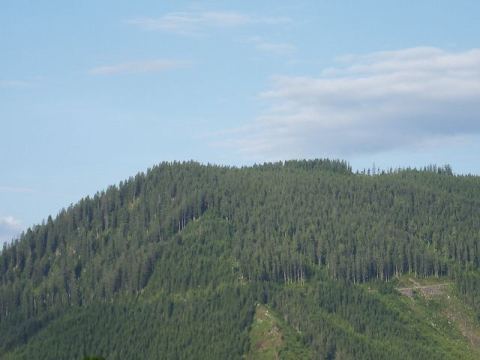Ramsau am Dachstein 2010 – 4