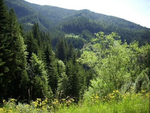 Ramsau am Dachstein 2010 – 21