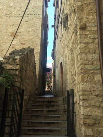 Split 2016 – 22
