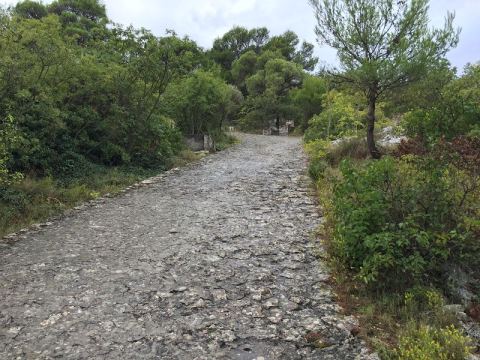 Split 2016 – 43