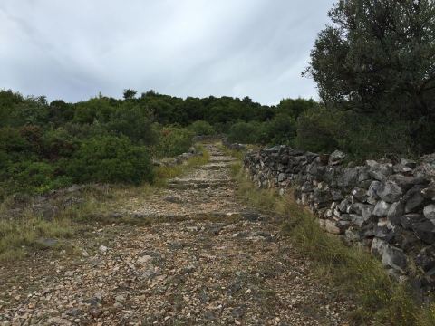 Split 2016 – 37