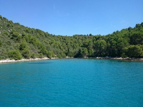 Split 2016 – 67
