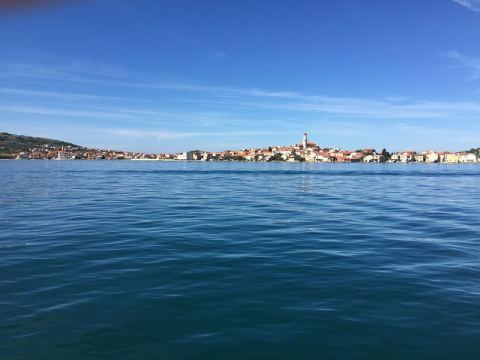 Split 2016 – 62