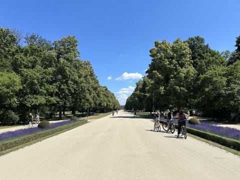 Tour to Leipzig and Dresden 2025 – 8