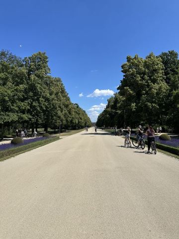 Tour to Leipzig and Dresden 2025 – 7