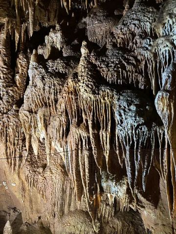 Jama Baredine Cave 2020 – 7