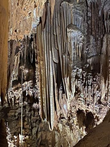 Jama Baredine Cave 2020 – 15