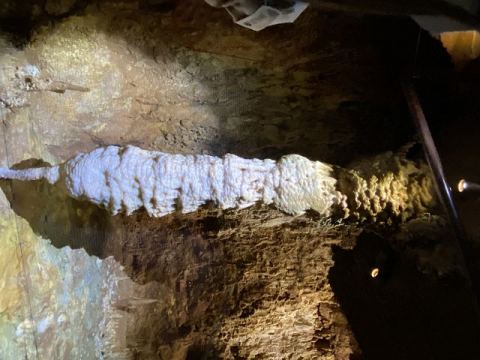 Jama Baredine Cave 2020 – 17
