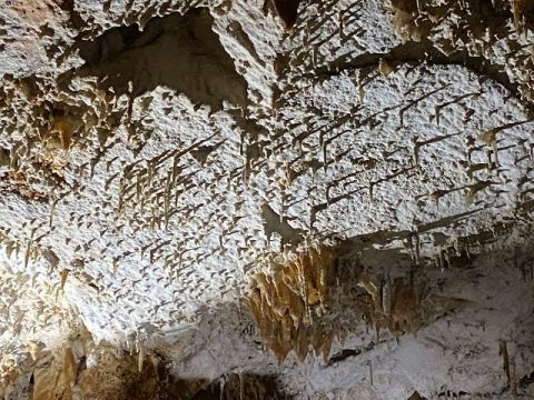 Jama Baredine Cave 2020 – 14