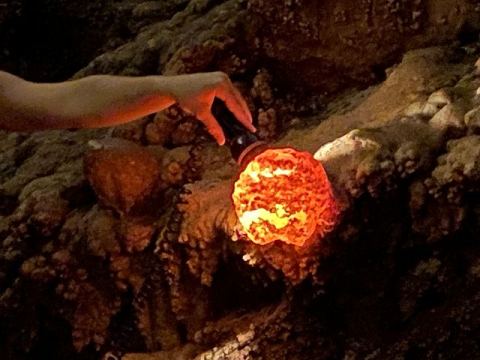 Jama Baredine Cave 2020 – 11