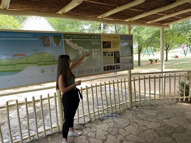Jama Baredine Cave 2020