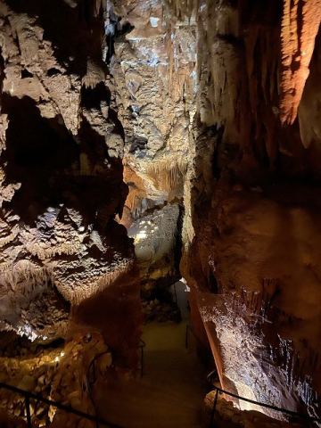 Jama Baredine Cave 2020 – 6