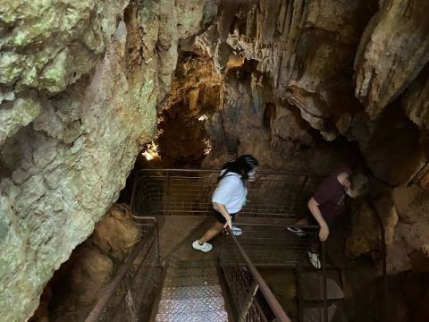Jama Baredine Cave 2020 – 2