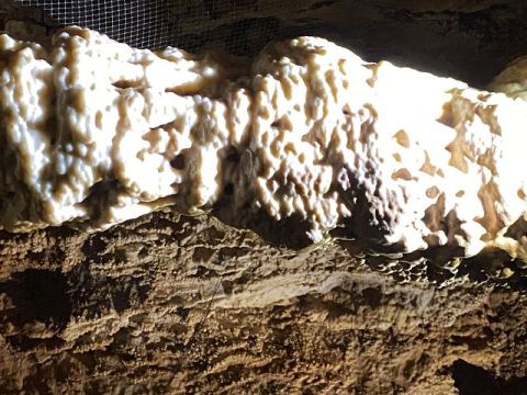 Jama Baredine Cave 2020 – 16