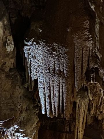 Jama Baredine Cave 2020 – 4