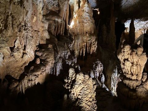 Jama Baredine Cave 2020 – 13