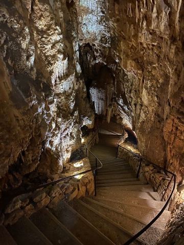 Jama Baredine Cave 2020 – 3