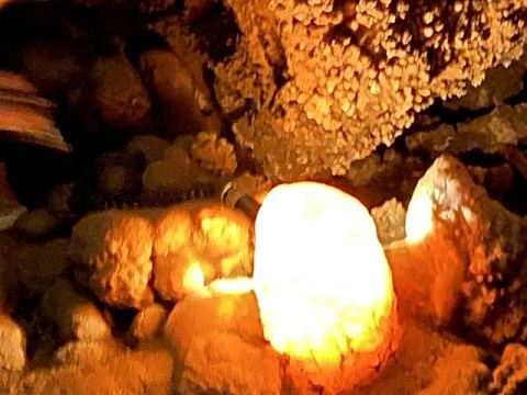 Jama Baredine Cave 2020 – 12