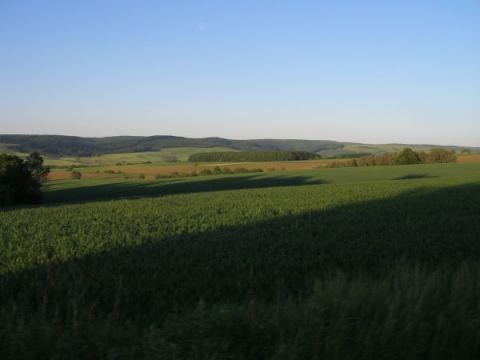 Mühlhausen 2009 – 11