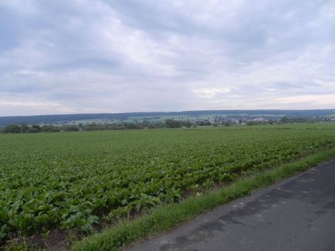 Godelheim 2012 – 24