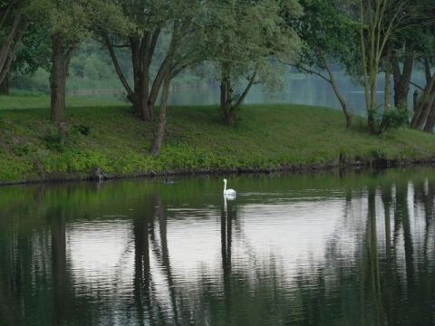 Godelheim 2012 – 21