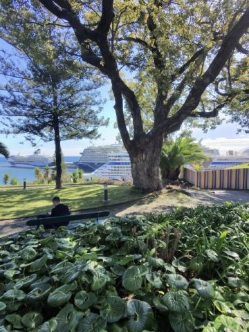 Mein Schiff Relax 2026 – 77