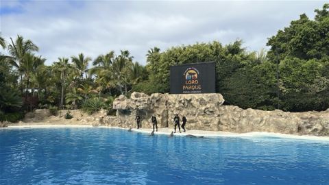 Mein Schiff Relax 2026 – 19