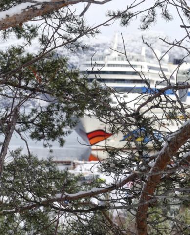 AIDA North Cape 2025 – 5