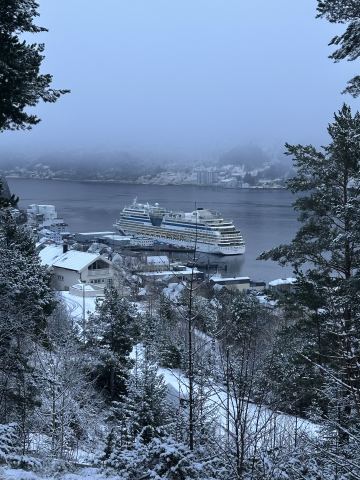 AIDA North Cape 2025 – 7