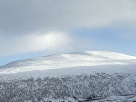 AIDA Nordkap 2025 – 43