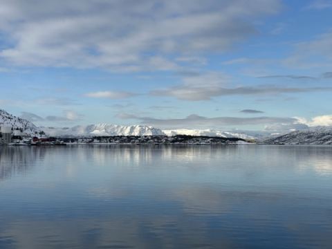 AIDA North Cape 2025 – 51