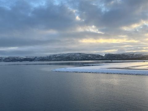 AIDA North Cape 2025 – 30
