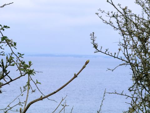 Ostern in Travemünde 2025 – 23