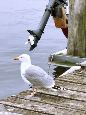 Ostern in Travemünde 2025 – 5