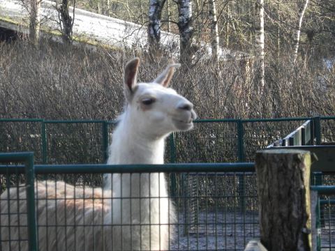 Eschede Film Animal Park 2012 – 29