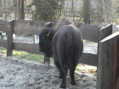 Eschede Film Animal Park 2012 – 21