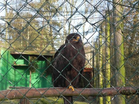 Eschede Film Animal Park 2012 – 4
