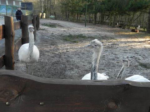 Eschede Film Animal Park 2012 – 49