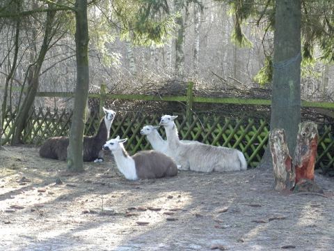Eschede Film Animal Park 2012 – 53