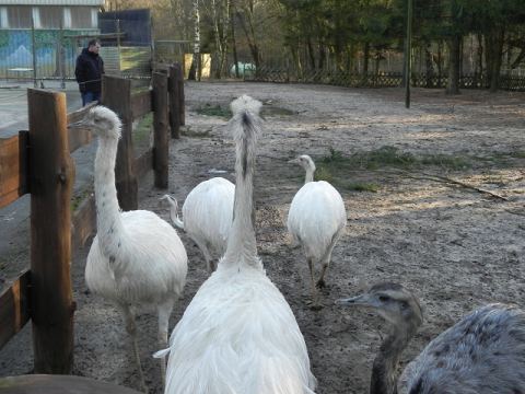 Eschede Film Animal Park 2012 – 52