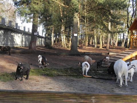 Eschede Film Animal Park 2012 – 43