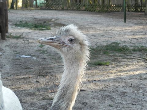 Eschede Film Animal Park 2012 – 50