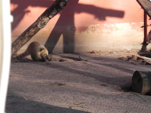 Eschede Film Animal Park 2012 – 39