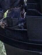Krk 2014 – 32