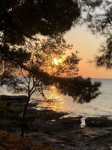 Umag 2020 – 12