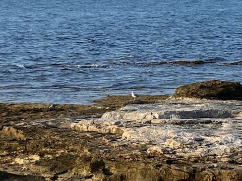 Umag 2020 – 28